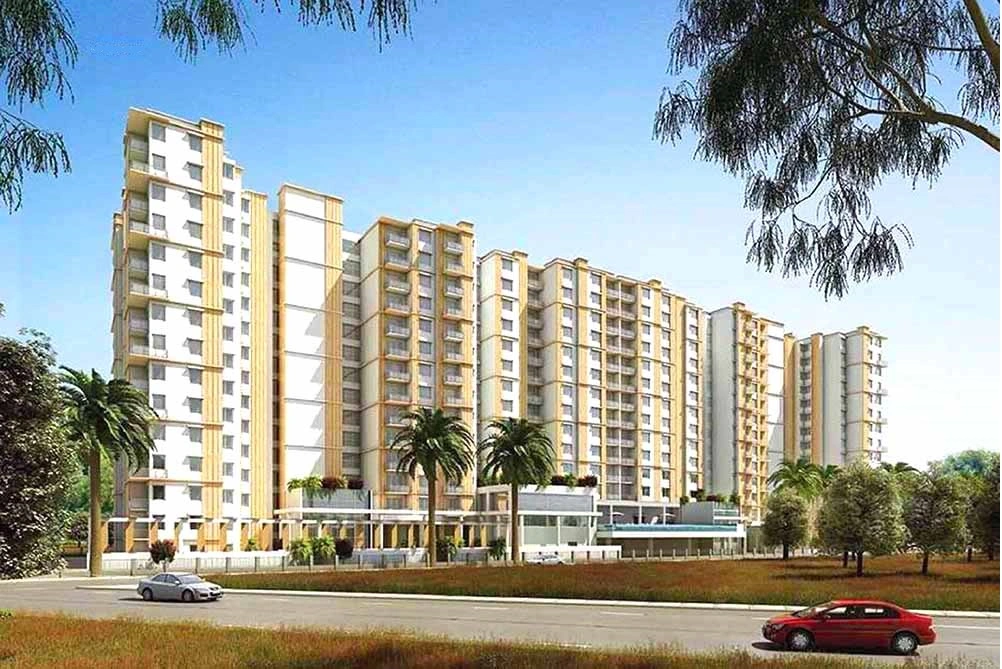 Prestige Pine Forest