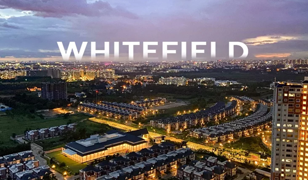 About Whitefield