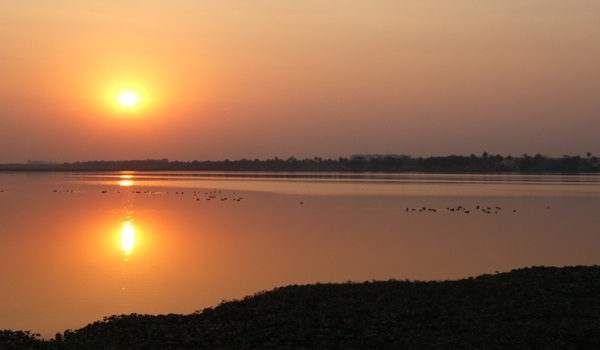 A lake opposite Prestige Rain Tree Park